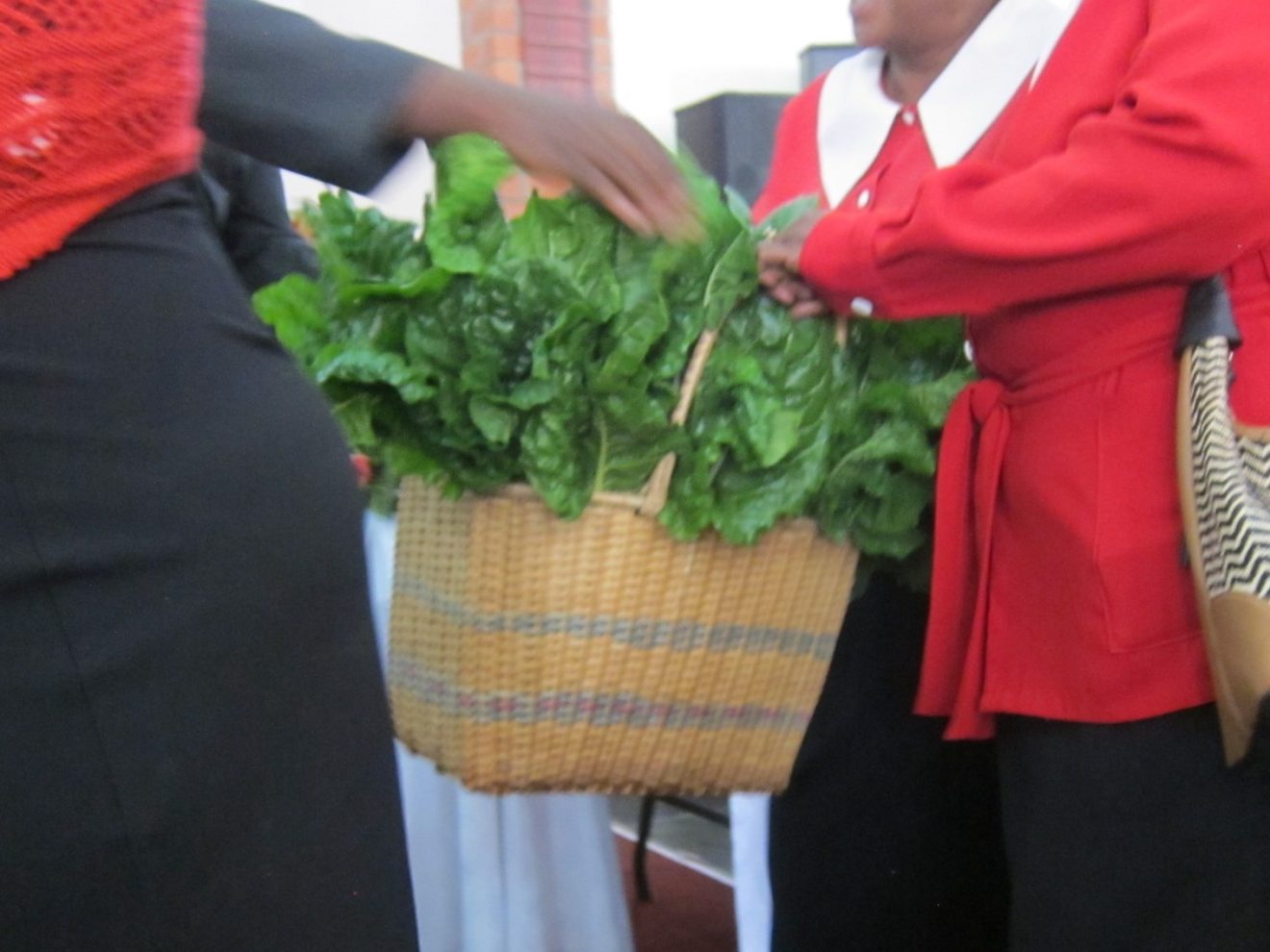 Harvest in Zambia