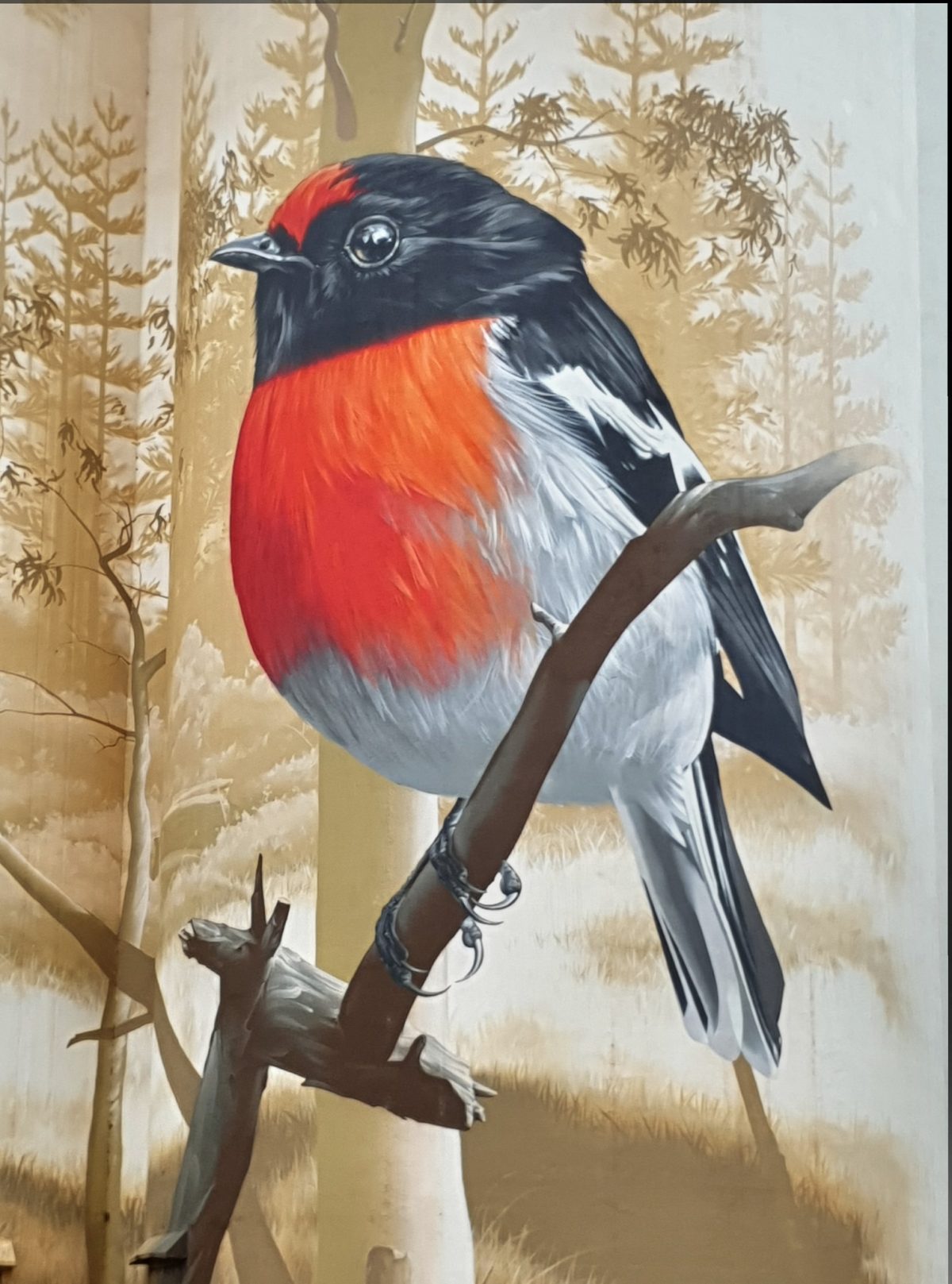 Painted Silo, Bird, Mirrabara - Kathy Schultz, Australia