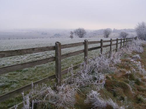 17. Winter Outlook in Wiltshire