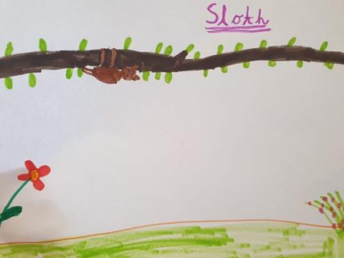 Sloth artwork, by Alice, for Blessing of the Animals