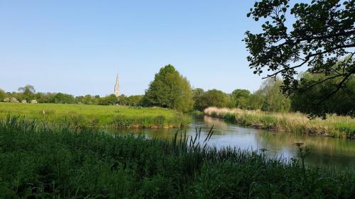 39. Salisbury Cathedral across the Water Meadows