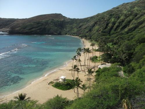 40. Tropical Beach, Honolulu