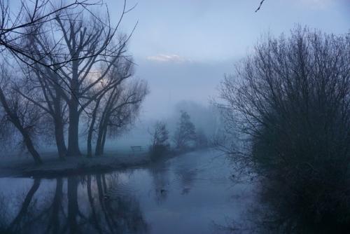 47. Misty Morning, Elizabeth Gardens, December