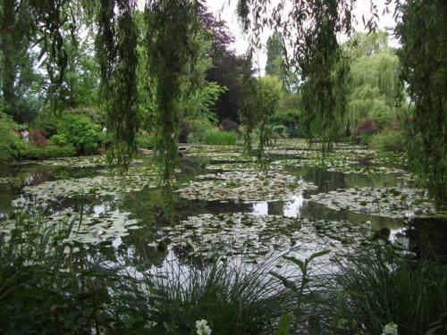 53. Water Lilies at Monet's Garden, Giverny