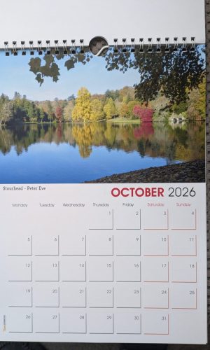 calendars 9